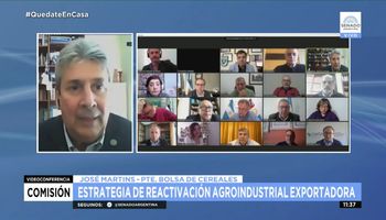 Consejo Agroindustrial ante el Senado: “No venimos a reemplazar a la Mesa de Enlace”