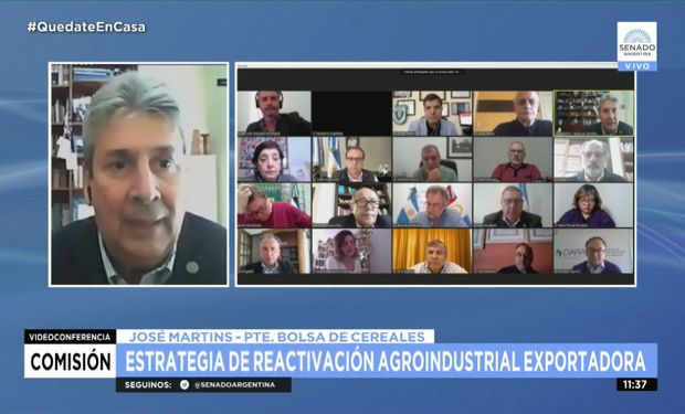 Consejo Agroindustrial ante el Senado: “No venimos a reemplazar a la Mesa de Enlace”