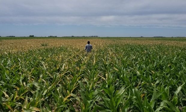 La temperatura llegó a valores inferiores a 3°C en el sur bonaerense.