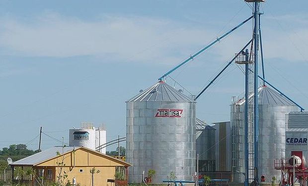 La nueva alícuota es del 10,5%: se trata de una noticia especialmente favorable para tambos, feedlots, establecimientos avícola y porcinos.