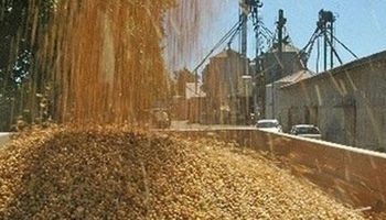 Noticias agrícolas del día