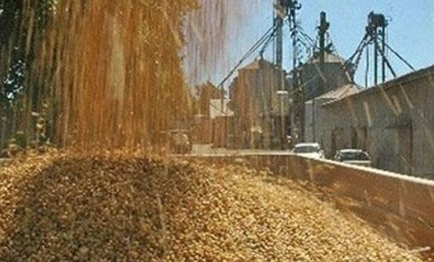 Noticias agrícolas del día