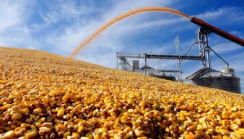 USDA: expectativa en la previa a la última estimación del año