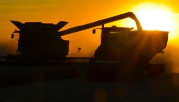 La soja volvió a subir a la espera de medidas concretas en torno a la guerra comercial