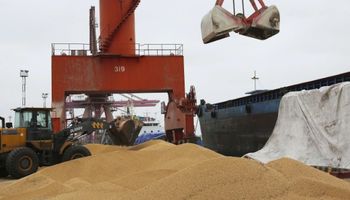 Se frenó la negociación para exportar harina de soja a China
