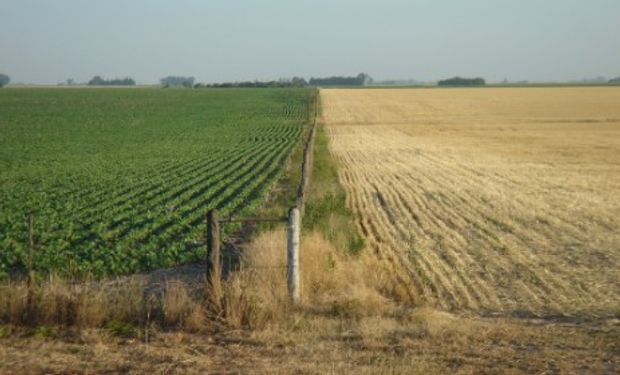 La tendencia comienza a cambiar el fin de semana y se espera una consolidación de la circulación del norte desde el domingo.