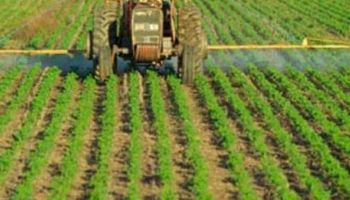 Noticias agrícolas del día
