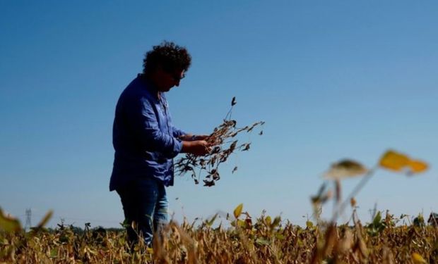 Ag Barometer: el Indice de confianza del productor agropecuario mostró una caída de 5 %, aunque la expectativa a futuro es positiva.