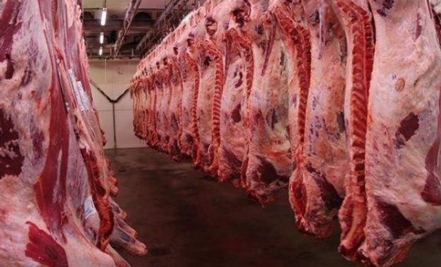 Los números detrás del regreso de Argentina al mercado mundial de carne bovina.