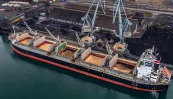 La soja regresó al terreno positivo en medio de la disputa comercial