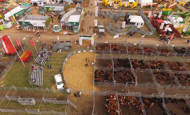 Se pondrá en funcionamiento un feedlot demostrativo.