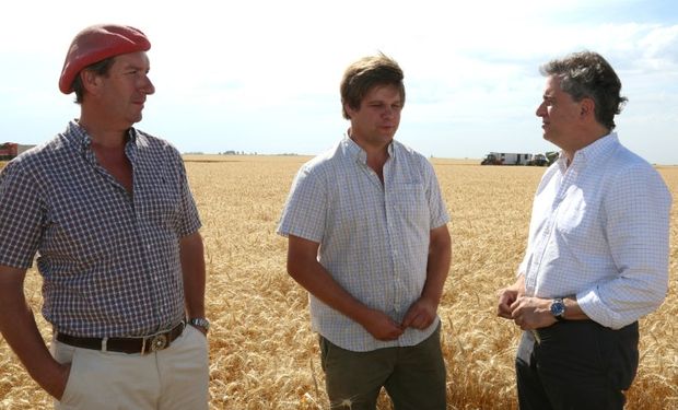 Se espera una cosecha de trigo de 19,7 millones de toneladas para la campaña 2018/19: un aumento del 8% respecto al ciclo anterior.