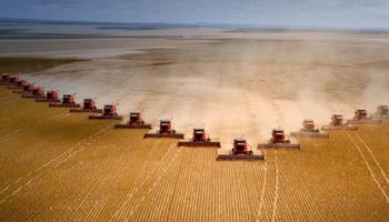 Los 8 números que muestran el potencial agrícola de Brasil