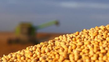 Nueva señal de tregua en la guerra comercial dejó subas para la soja
