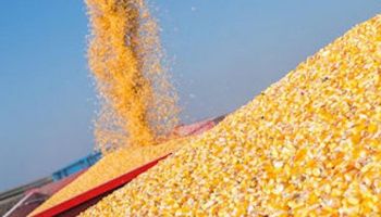 Las cifras del Reporte del USDA para la cosecha de Sudamérica
