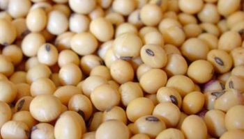 Noticias agrícolas del día