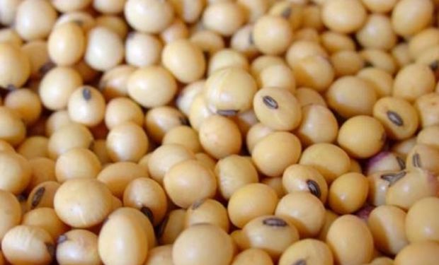 Noticias agrícolas del día