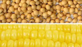 Noticias agrícolas del día