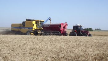 Subas para el trigo en plena cosecha: cuáles son las recomendaciones de comercialización