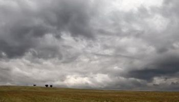 Noticias agrícolas del día