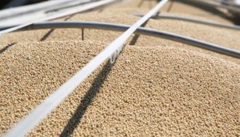 El USDA confirmó la compra de soja por parte de China
