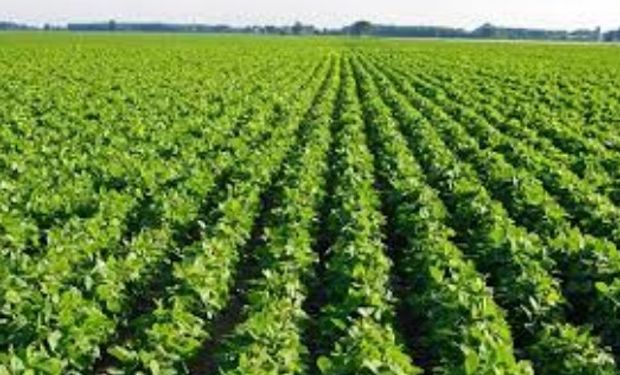 Argentina reafirmó el compromiso con una agricultura productiva, basada en un manejo adaptado de las tierras y los suelos.