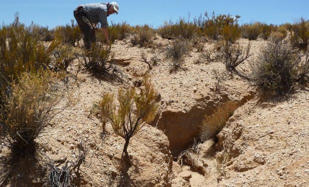 Las inundaciones que afectaron a algunos de los desiertos más secos del mundo, como Atacama y el Sahara motivaron la investigación.