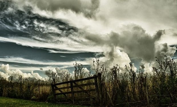 Los fenómenos climáticos extremos se volvieron más frecuentes: destacan la oportunidad detrás de la amenaza del cambio climático.