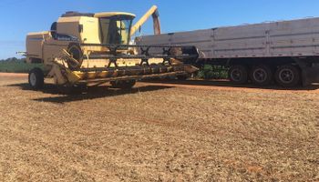 La cosecha de soja en Brasil podría sufrir un recorte producto de las condiciones secas