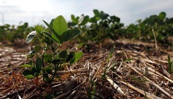 El clima durante el verano 2019: "El Niño no será el único factor a seguir de cerca"