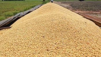 El anuncio de una compra de China no fue suficiente para la soja