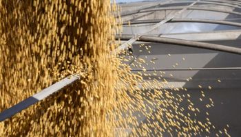 Señal de tregua: fuerte repunte para las exportaciones de soja de Estados Unidos