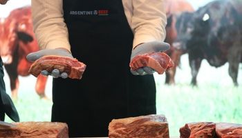 Radiografía de la exportación de carne: la integración argentina al mundo en 2019