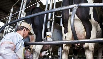 Los cuatro gráficos que muestran la preocupante situación del sector lechero