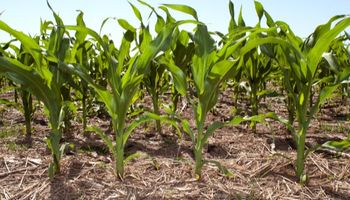 Una herramienta permite agilizar la gestión del riesgo del negocio agrícola