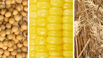 Noticias agrícolas del día