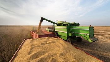 Los primeros rindes para la soja en Brasil se ubican por debajo de lo esperado