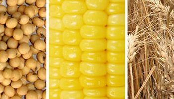 Noticias agrícolas del día