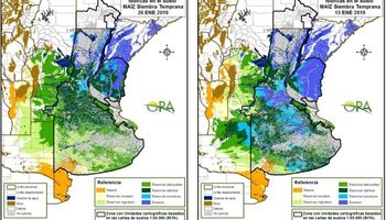 Para el maíz predominan las áreas con contenido óptimo de agua en el suelo