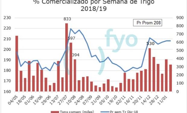 Los datos oficiales analizados por fyo.