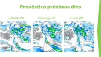 Se eleva el riesgo de pérdidas: anticipan hasta 150 mm para los próximos días