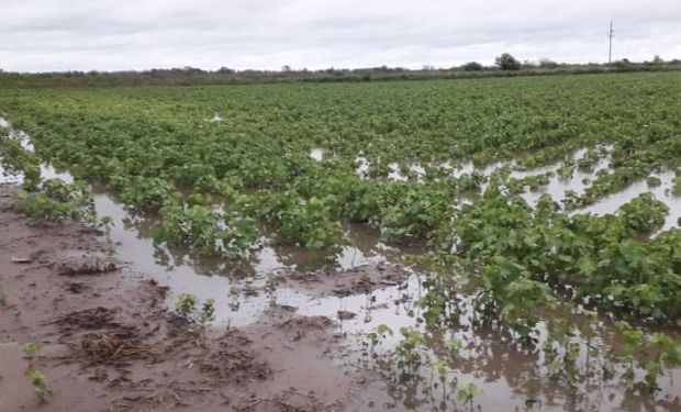 Después de la segunda semana de febrero, llegaría el alivio de las lluvias.