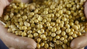 Habrá menos granos en Estados Unidos