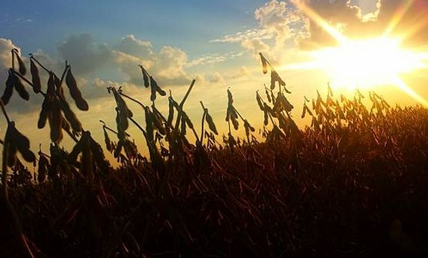 Entre los motivos bajistas se encuentran los buenos pronósticos climáticos para Estados Unidos.