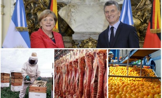 El mercado agroalimentario alemán como destino de exportaciones de nuestro país está concentrado en pocos productos.