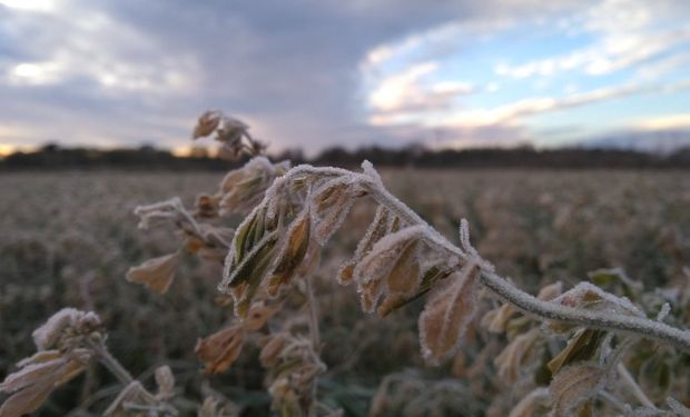 El ingreso de un anticiclón sobre el área continental, permitirá el afianzamiento del aire frío.