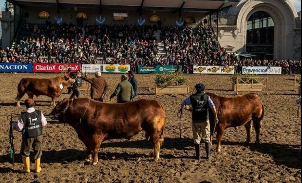 Se realizará el segundo remate de ​vaquillonas, el primer concurso de Novillos en Palermo, remates televisados y Cocina Show a cargo de Los Petersen Cocineros.