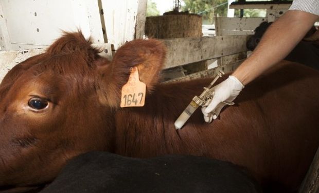 Datos parciales del Sistema de Gestión de Sanidad Animal.