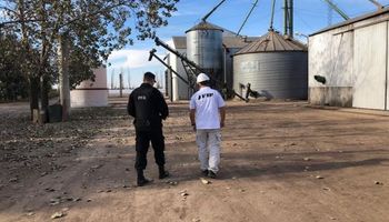 Operativo Cosecha Gruesa: Afip decomisó casi 650 toneladas en Córdoba
