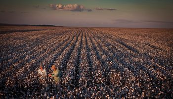 El jurado ya eligió a los ganadores del Premio New Holland de Fotoperiodismo 